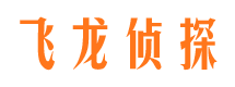 驿城侦探公司